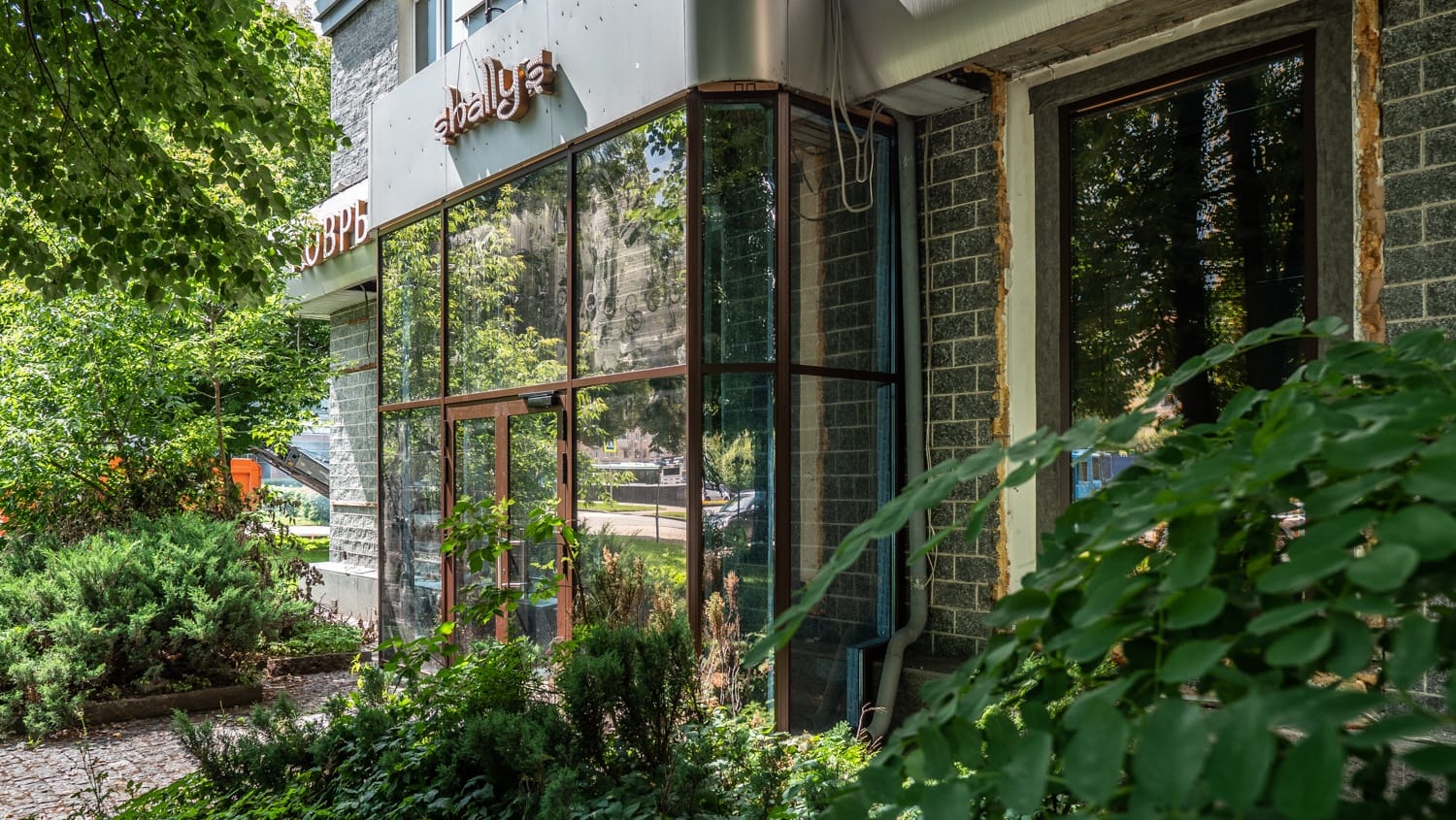 Миниатюра №4